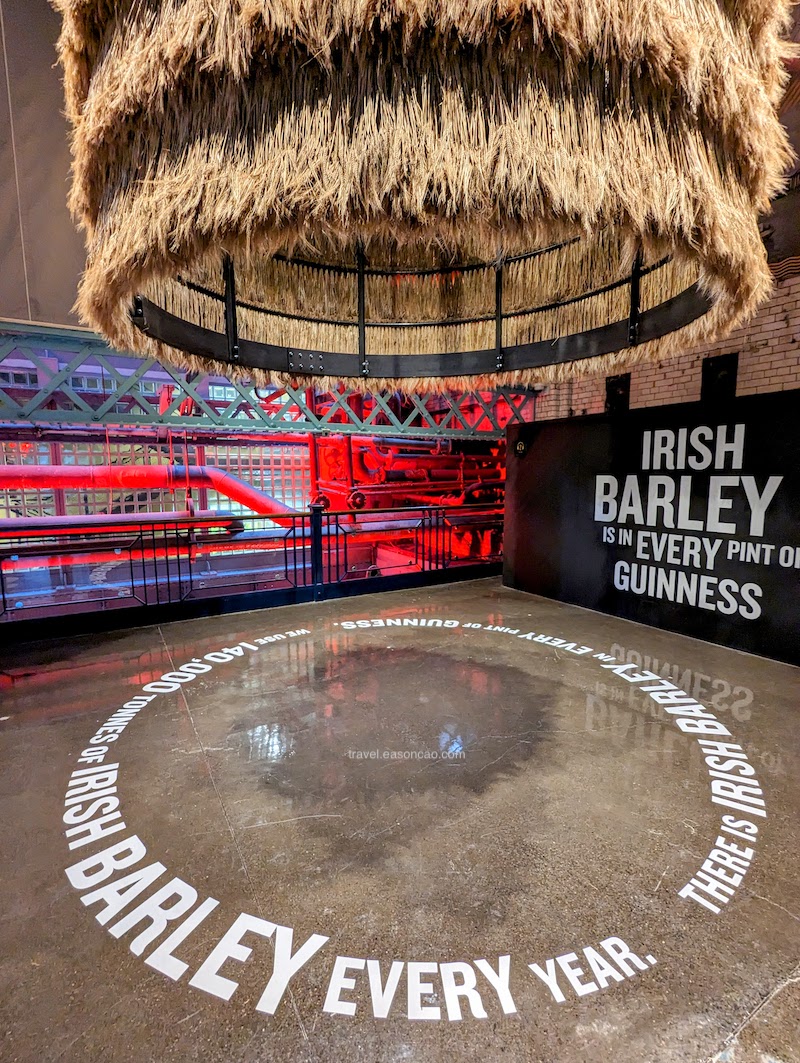 Guinness 內富含愛蘭大麥