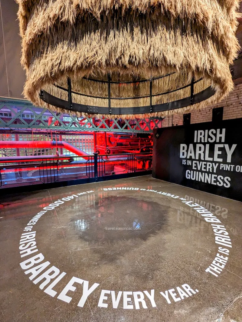 Guinness 內富含愛蘭大麥